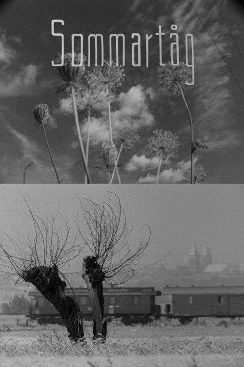 Summer Day 1961 official movie poster