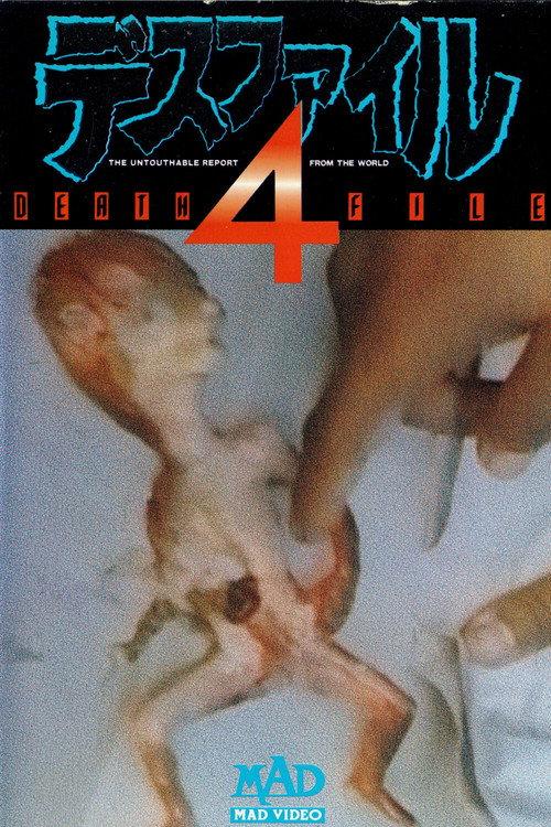 Death File 4 1990 official movie poster