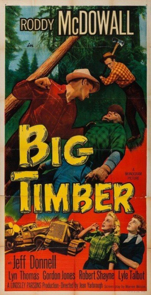 Big Timber 1950 official movie poster