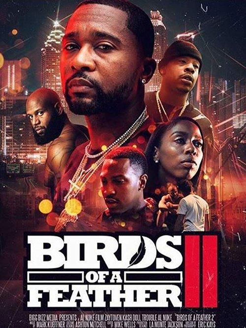 Birds of a Feather 2 2018 official movie poster