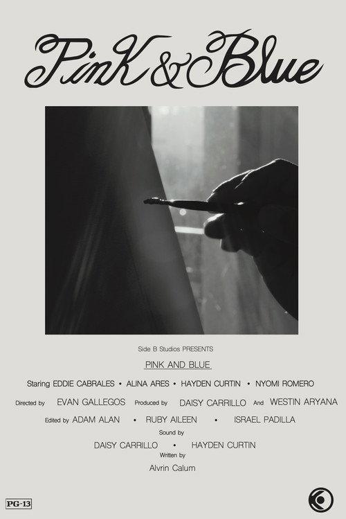 Pink & Blue 2026 official movie poster