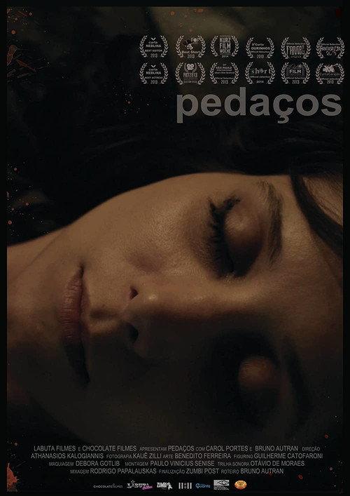 Fragments 2014 official movie poster