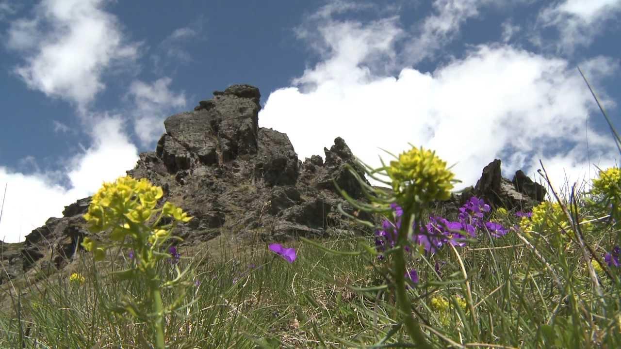 Sunshine over Sharr Mountain Trailer