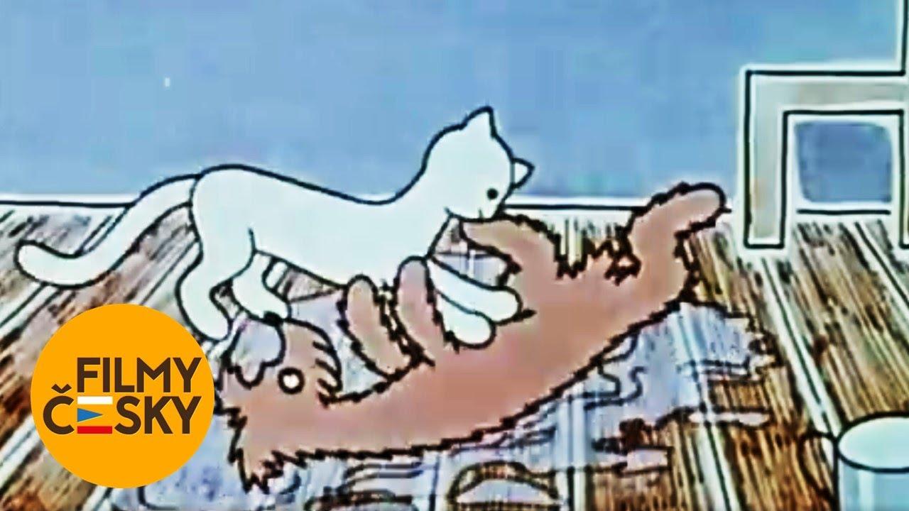 How a Dog And a Cat Washed The Floor Trailer