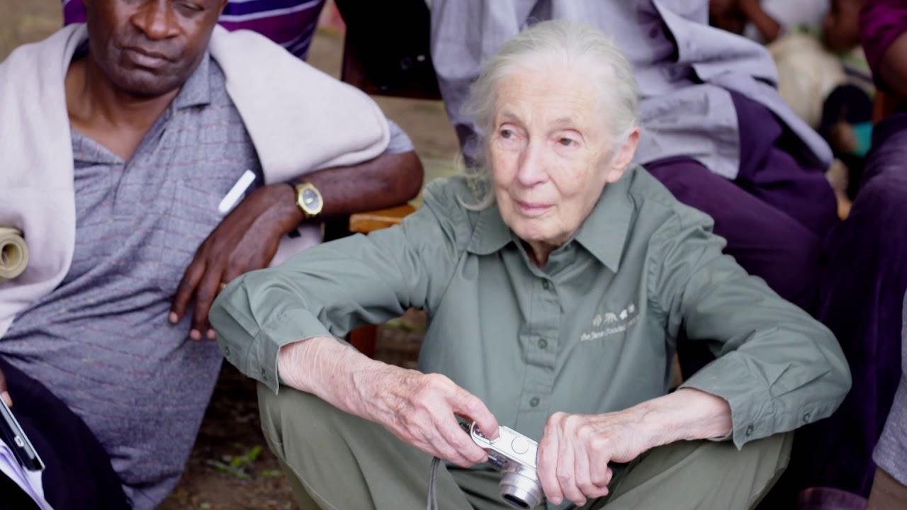 Jane Goodall: The Hope Trailer