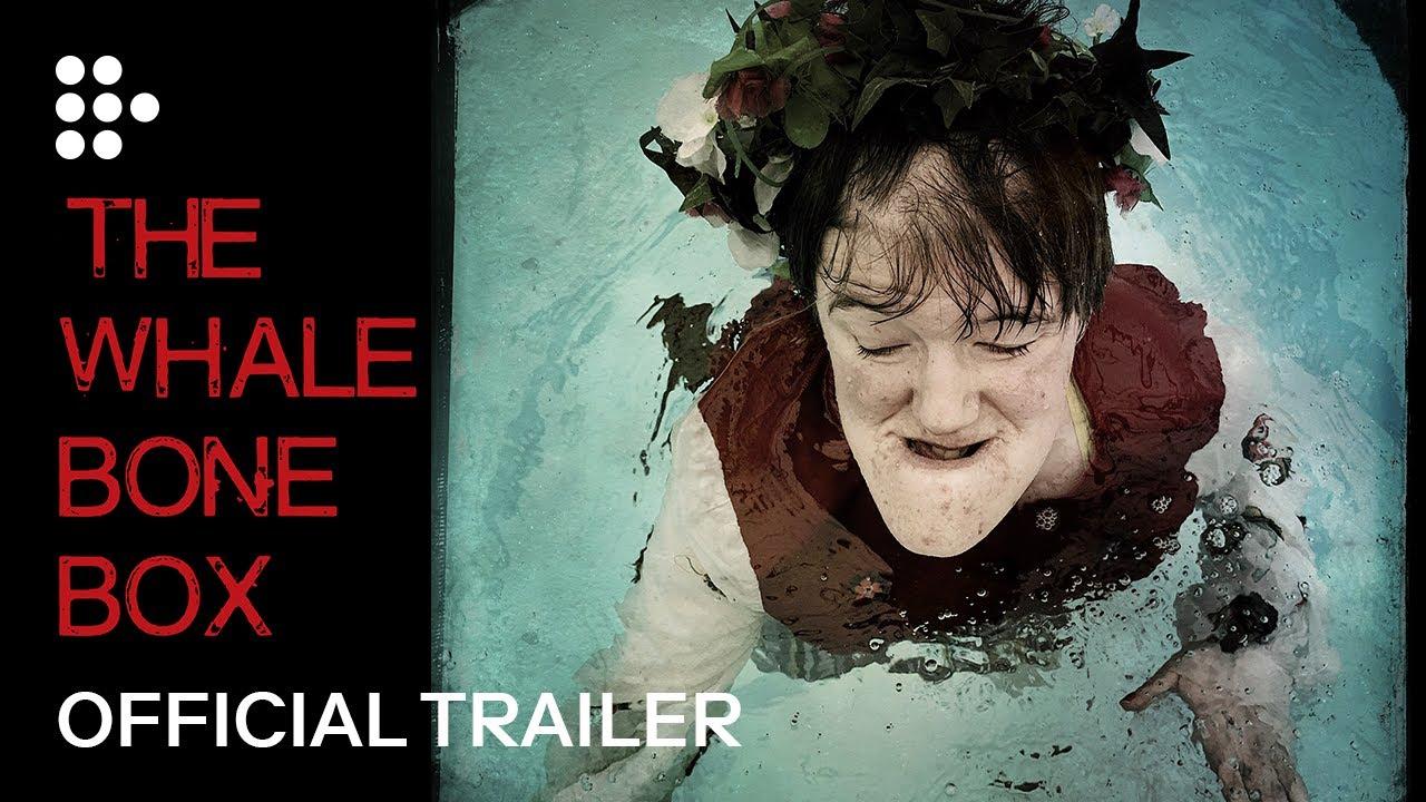 The Whalebone Box Trailer