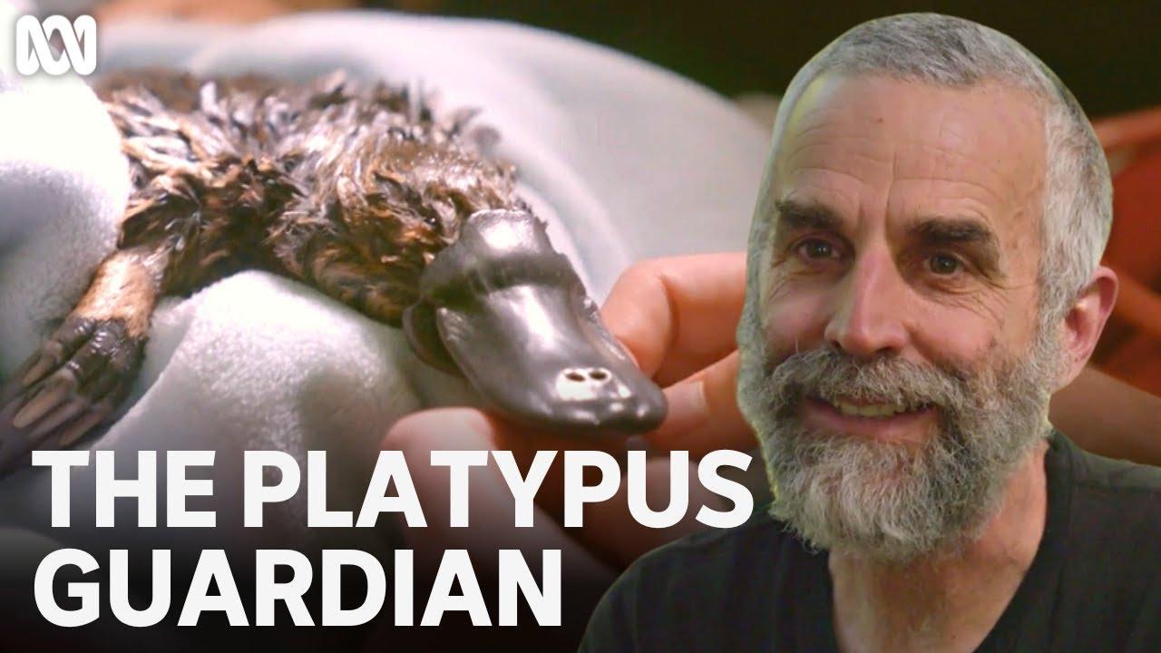 The Platypus Guardian Trailer