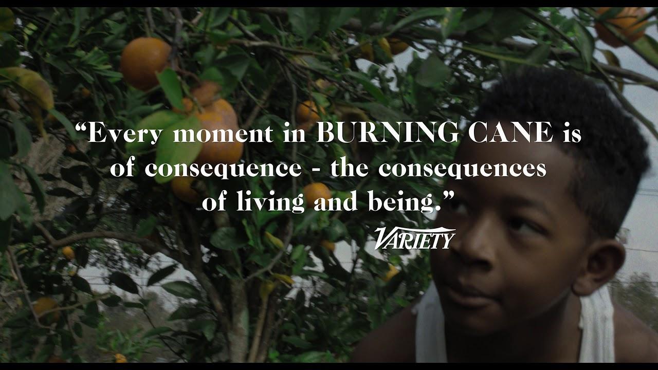 Burning Cane Trailer