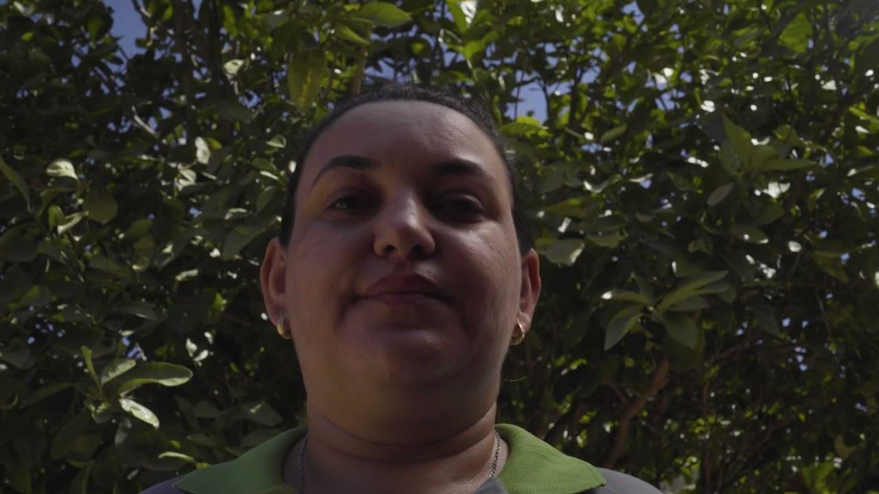 O Ponto do Mel Trailer