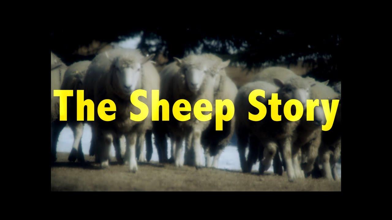 The Sheep Story Trailer