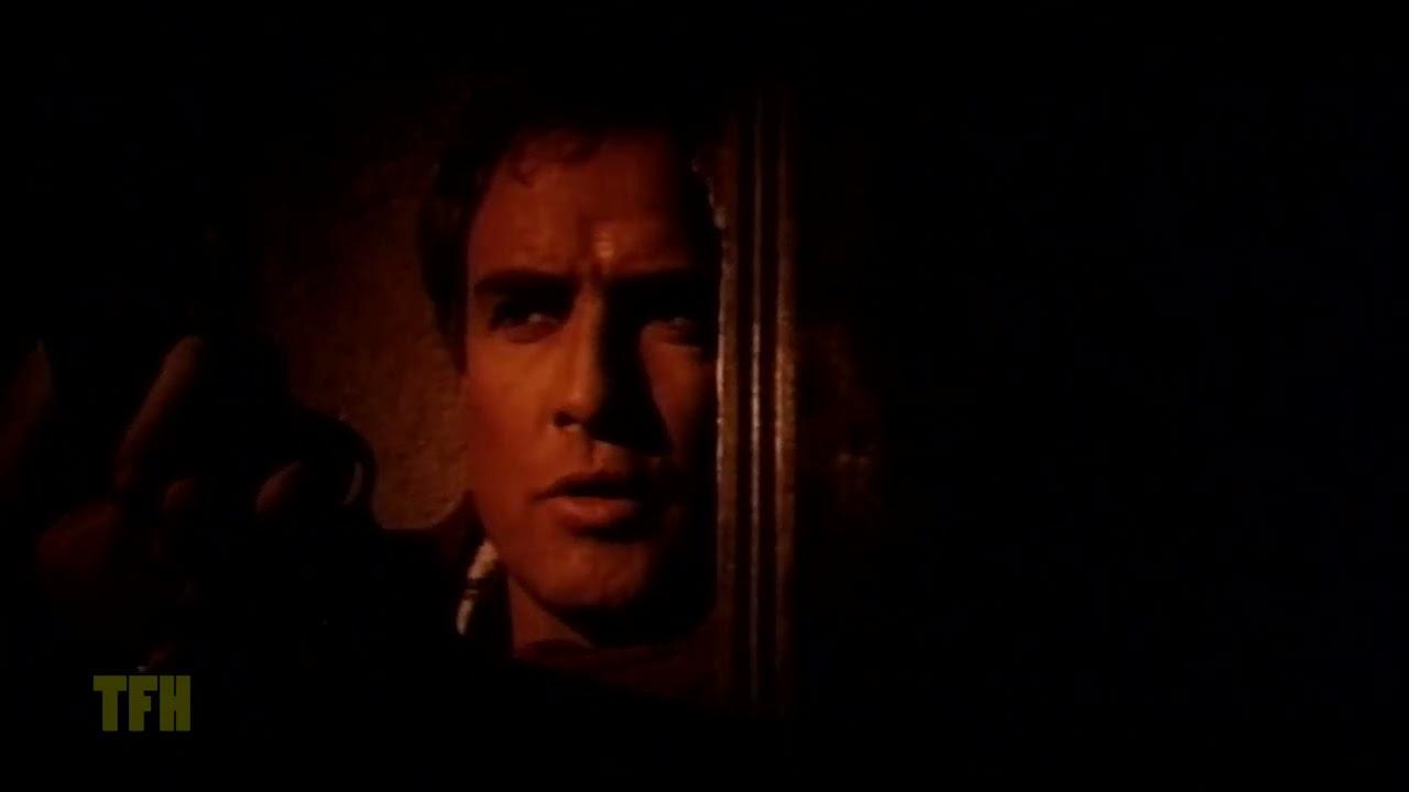 The Appaloosa Trailer