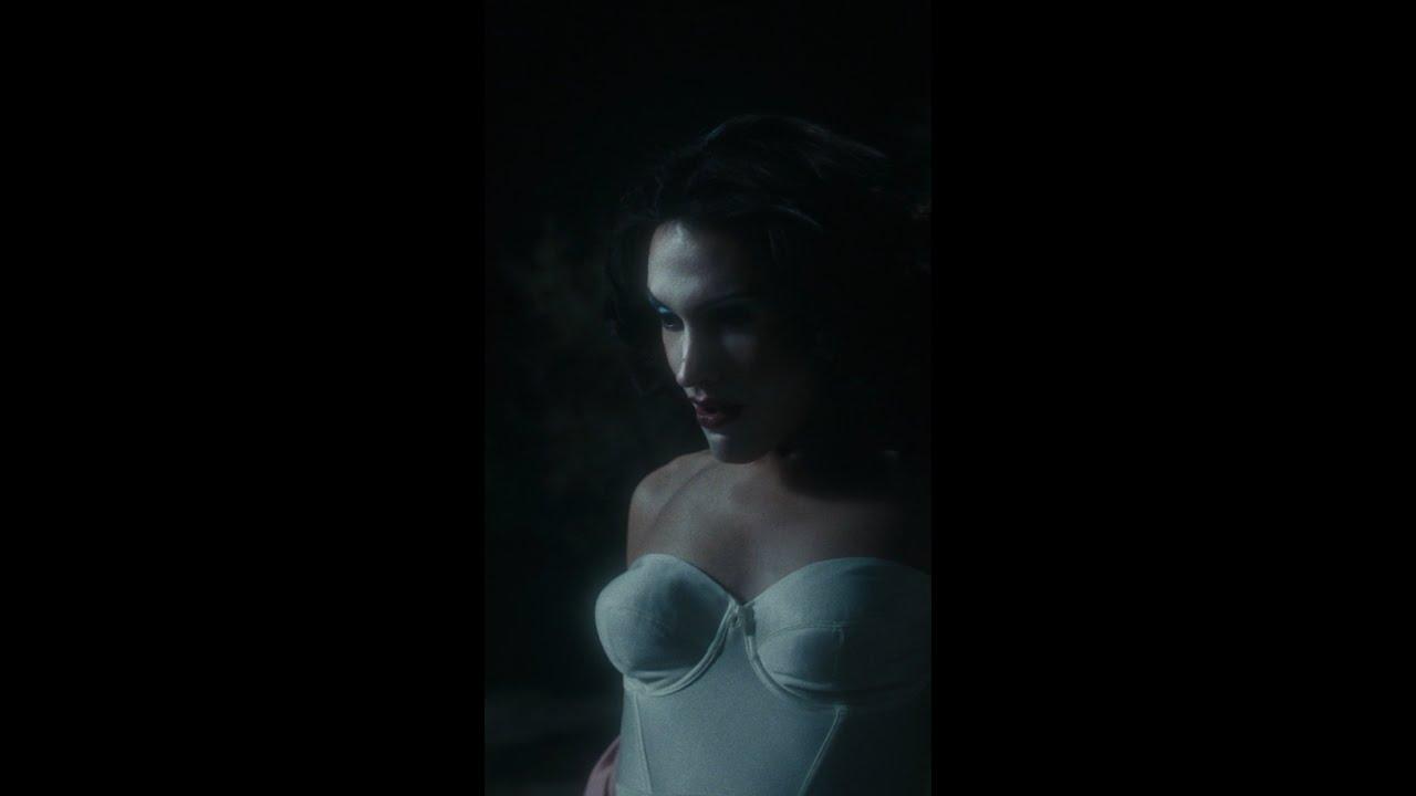 The Mysterious Gaze of the Flamingo Trailer
