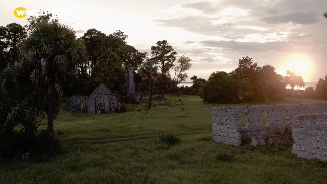 Sapelo Trailer