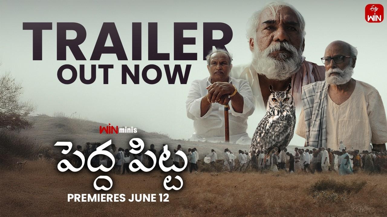 Pedda Pitta Trailer