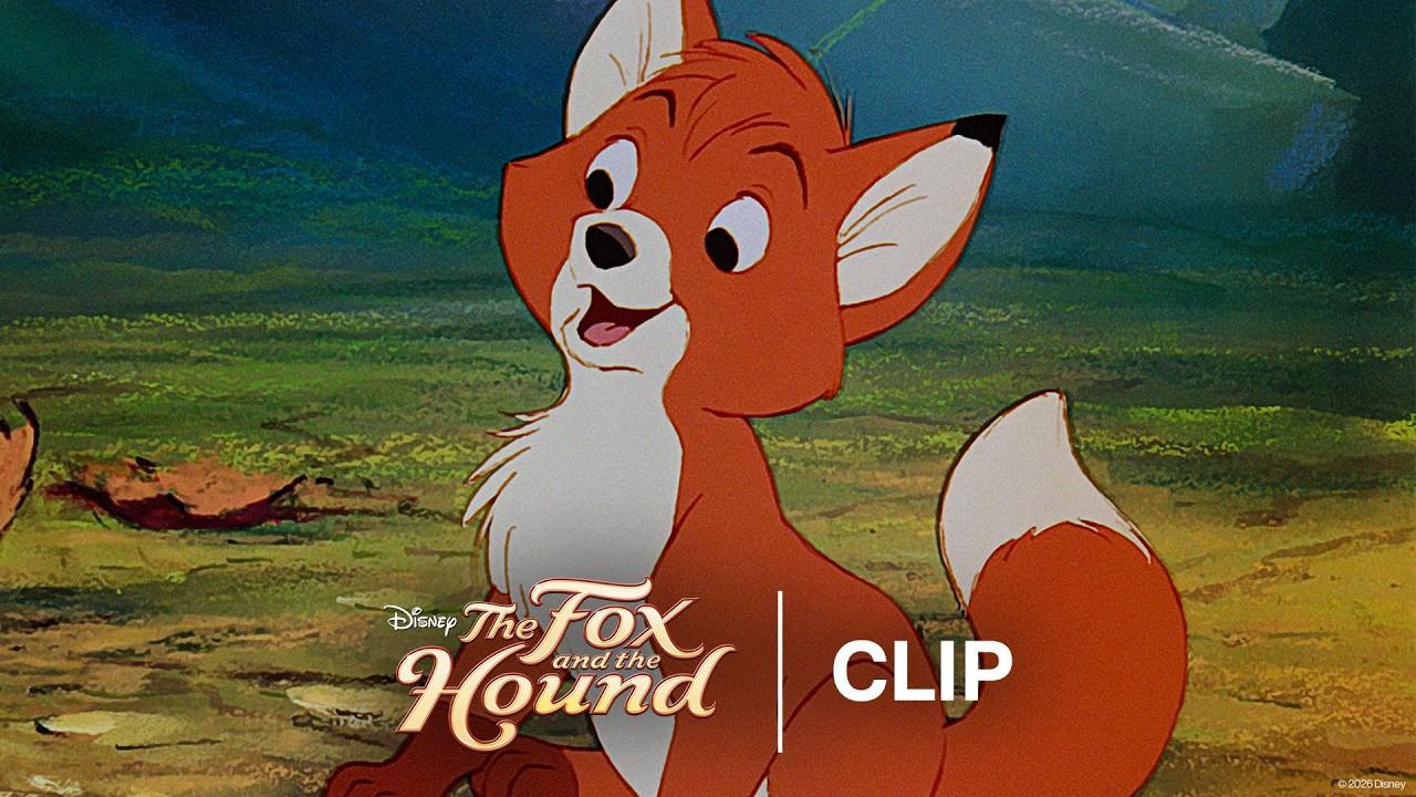 The Fox and the Hound Trailer