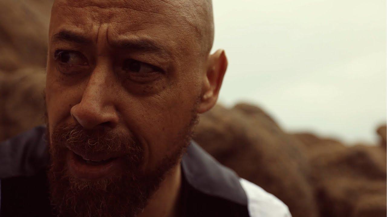 Last Flamingo of the Red Summer Sunset Trailer