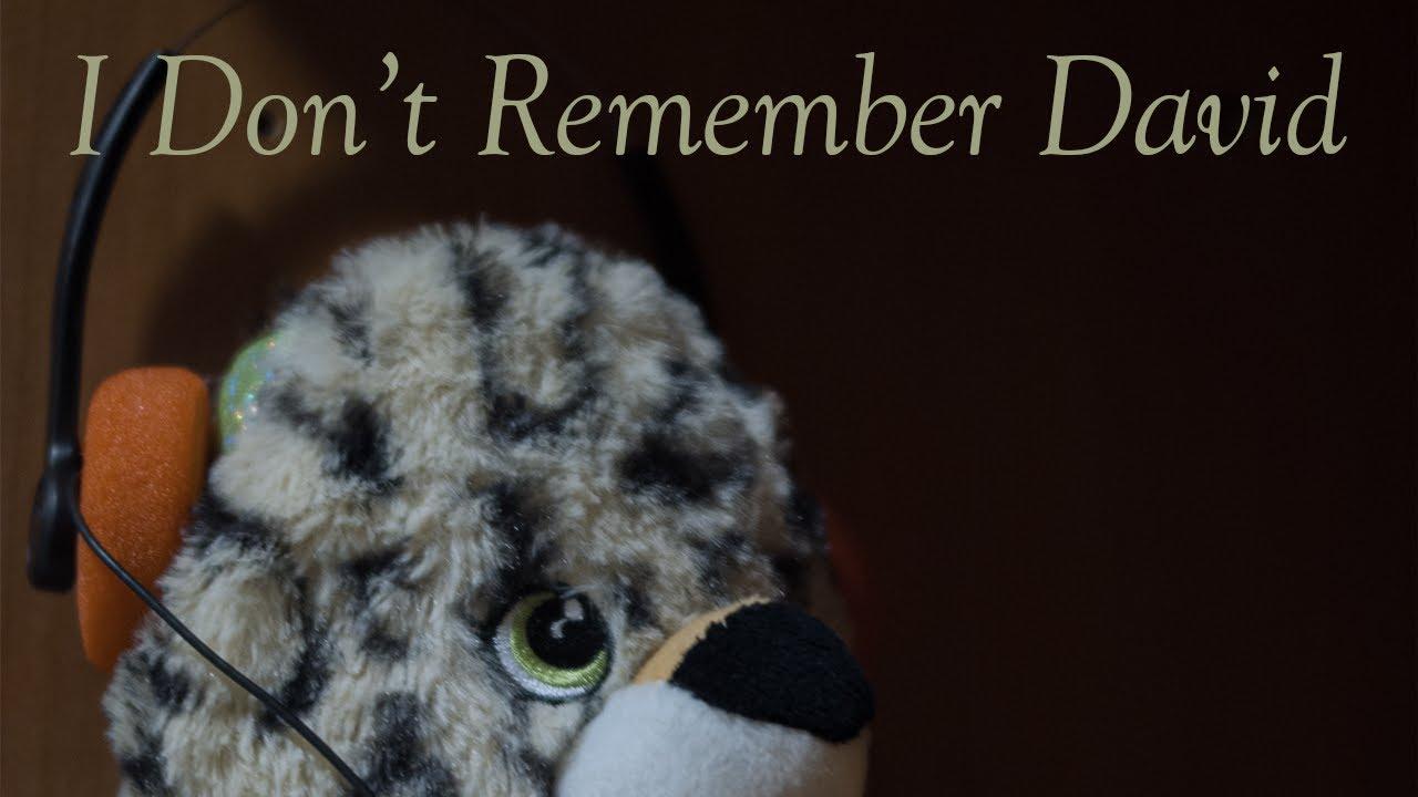 I Don’t Remember David Trailer