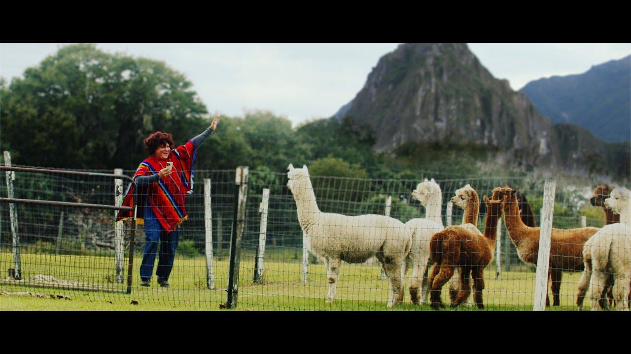 Alpaca Trailer