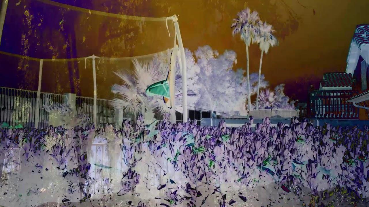 Revisited Remunerations Rapturously Collapse When Recompensed Trailer
