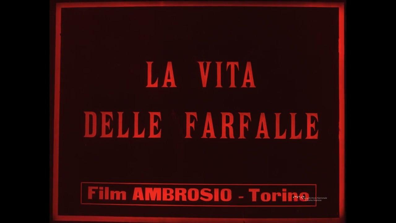 The Life of the Butterfly Trailer