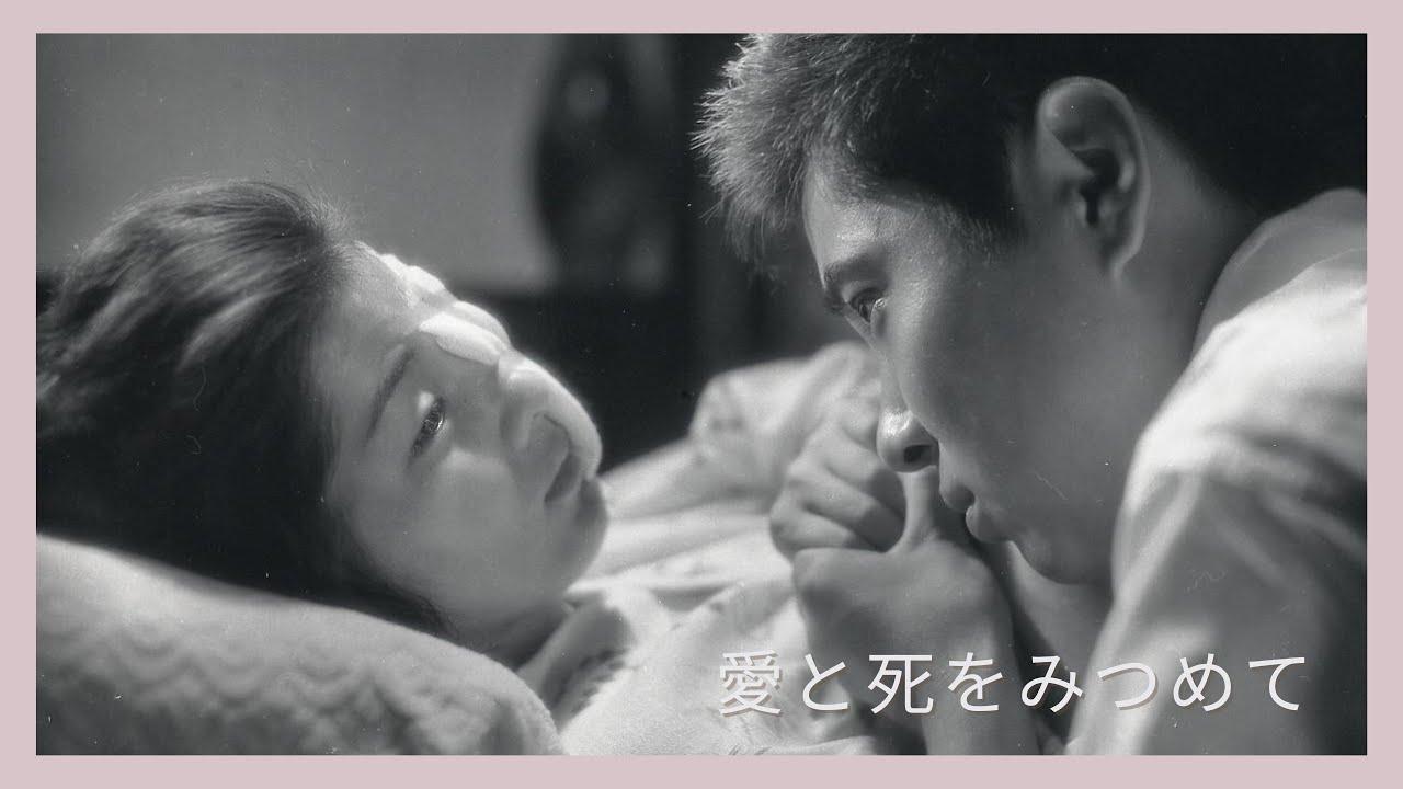 Gazing at Love and Death Trailer