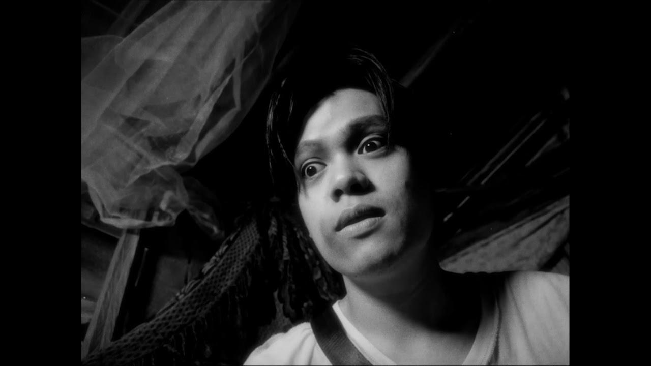 The Gossips of Cicadidae Trailer