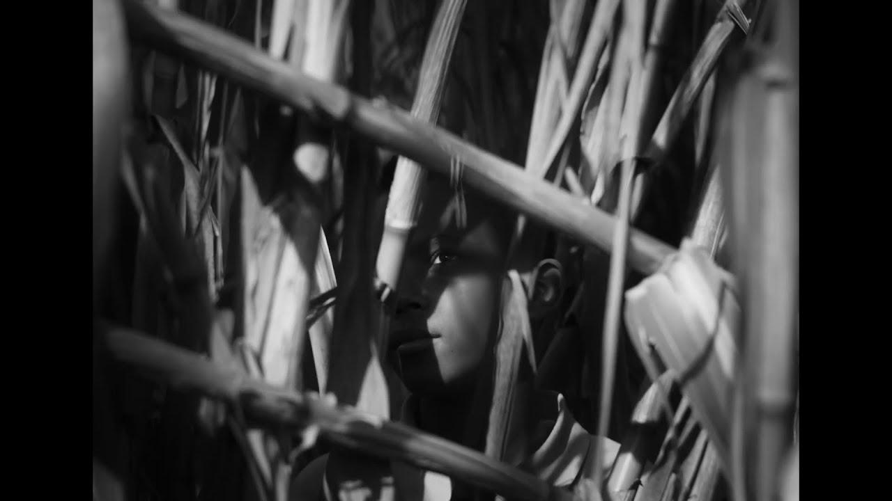 The Last Harvest Trailer