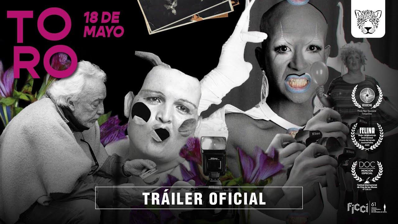 Toro Trailer