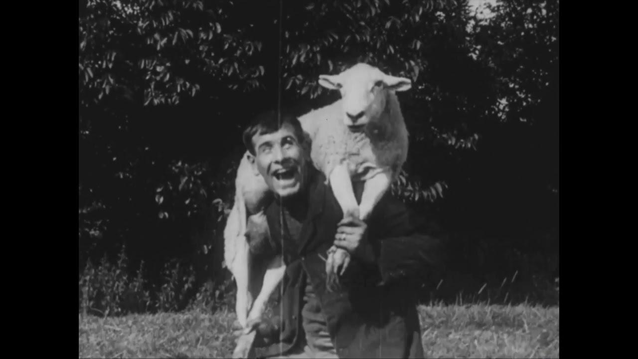 The Sheep Stealer Trailer