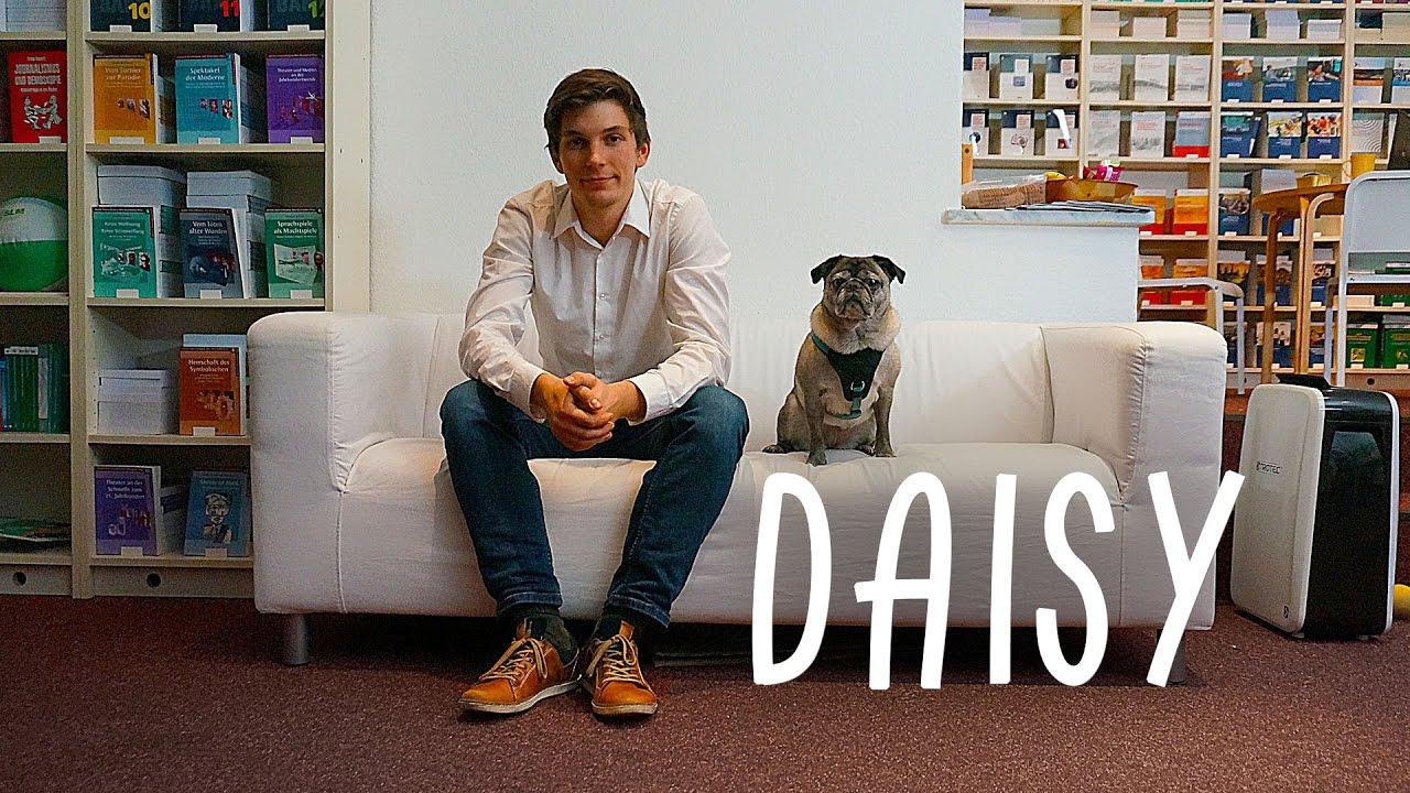 Daisy Trailer