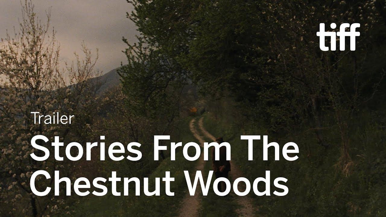 Stories from the Chestnut Woods Trailer