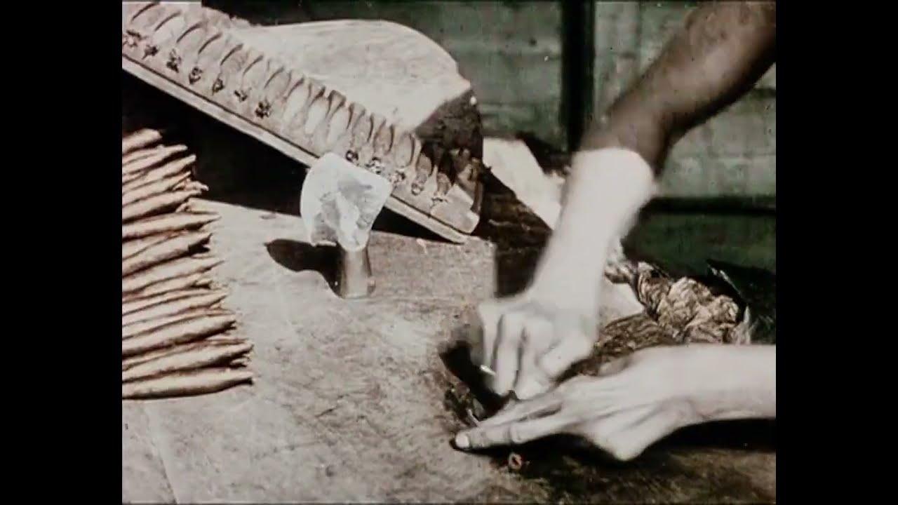 Tobacco Culture Trailer