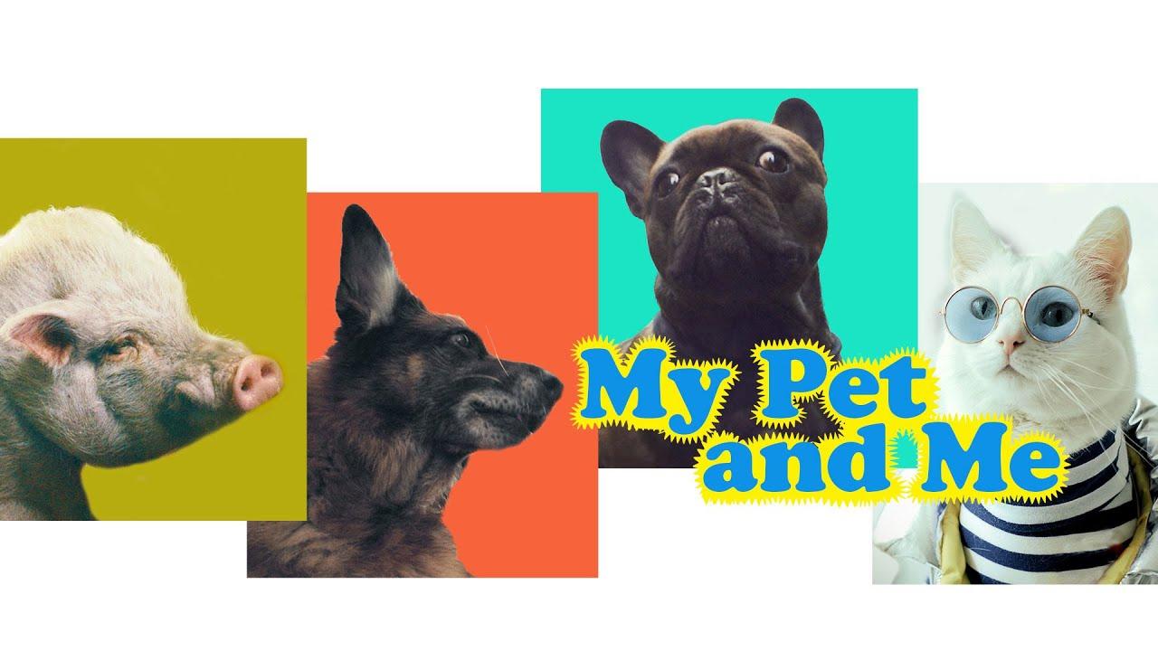 My Pet and Me Trailer
