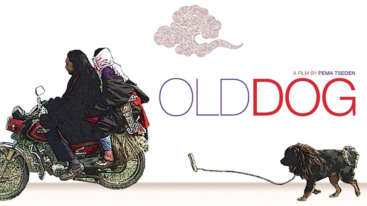 Old Dog Trailer