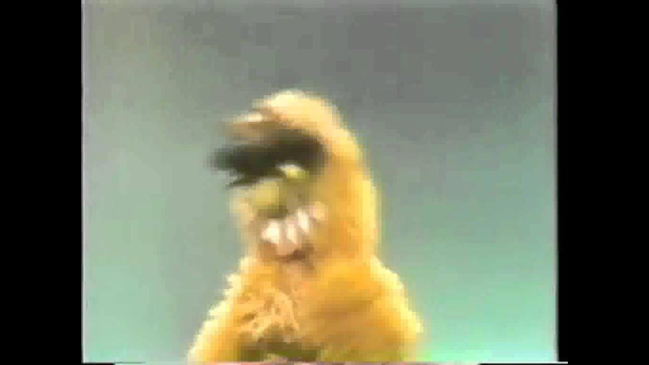 Sesame Street: Elmo Says BOO! Trailer
