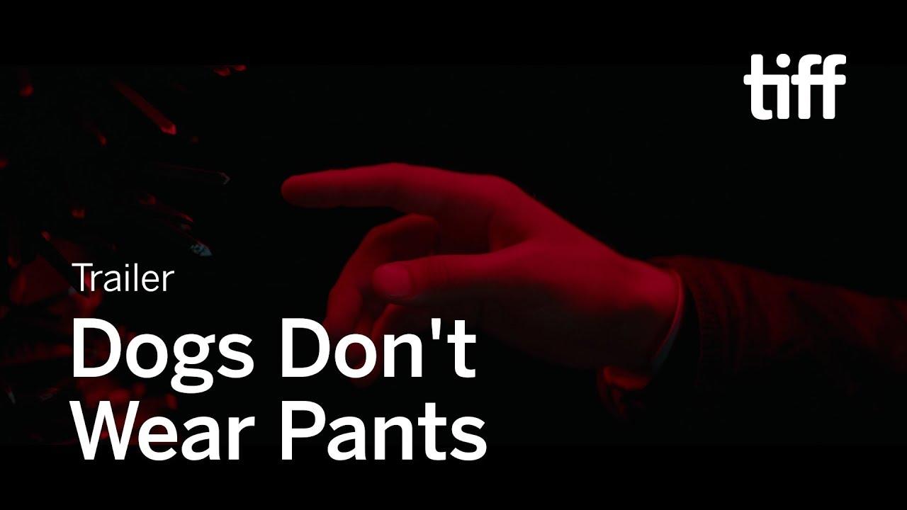 Dogs Don't Wear Pants Trailer