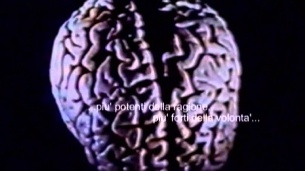 The Square Root of Three Trailer