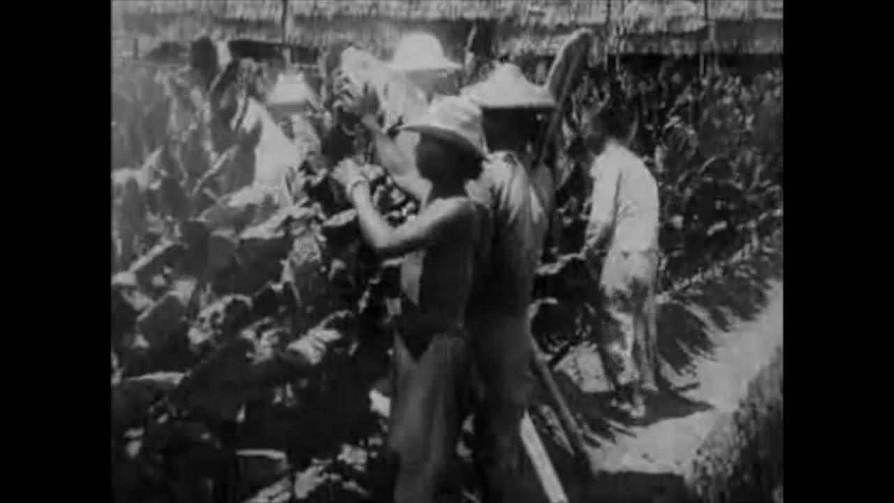 A Trip Through British North Borneo Trailer