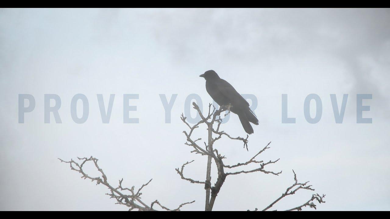 Prove Your Love Trailer