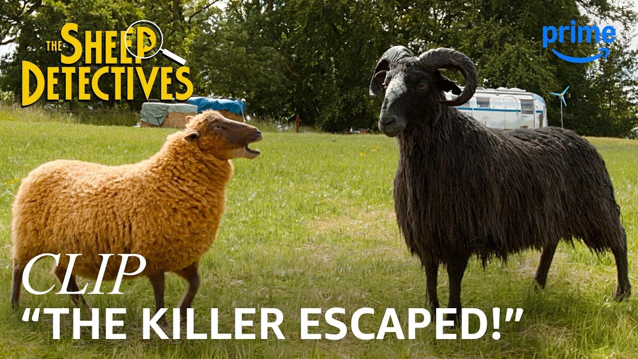 The Sheep Detectives Trailer