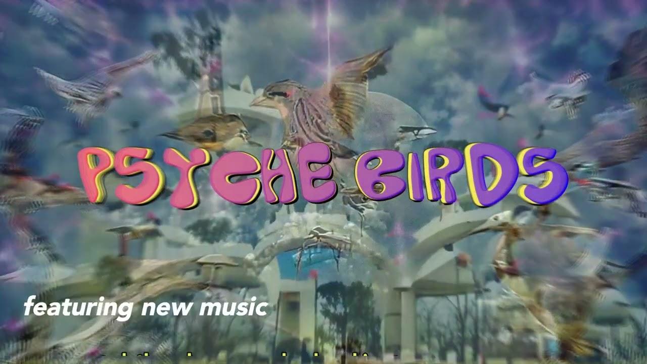 PSYCHE BIRDS Trailer