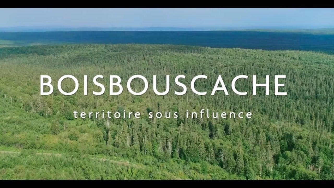 Boisbouscache Trailer
