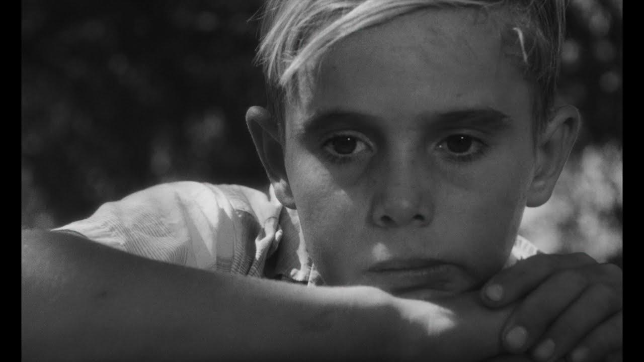 The Olive Trees of Justice Trailer