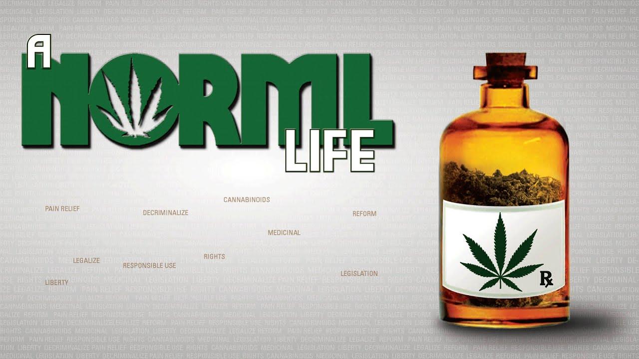 A Norml Life Trailer