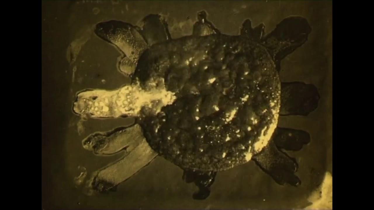 In the Land of the Gold Mines Trailer