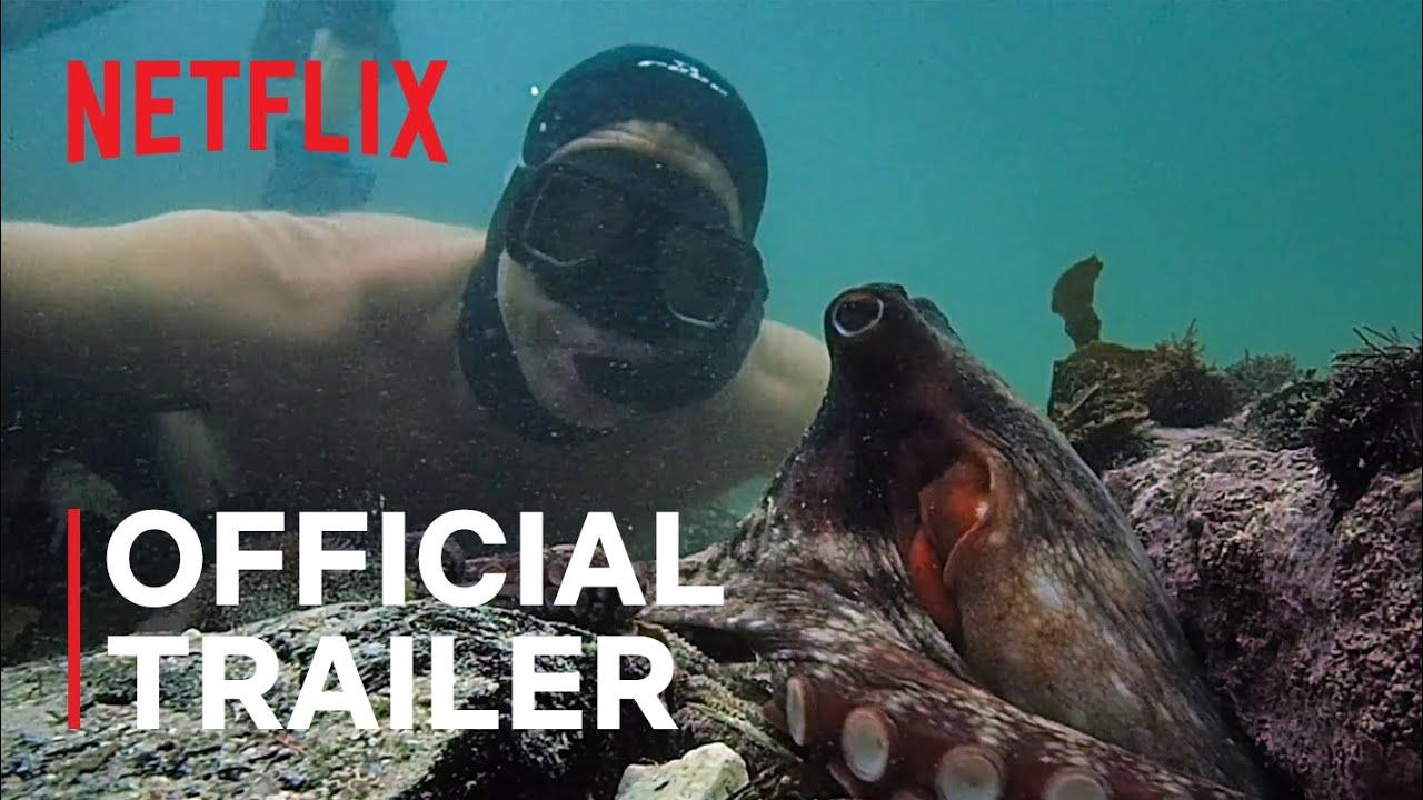 My Octopus Teacher Trailer