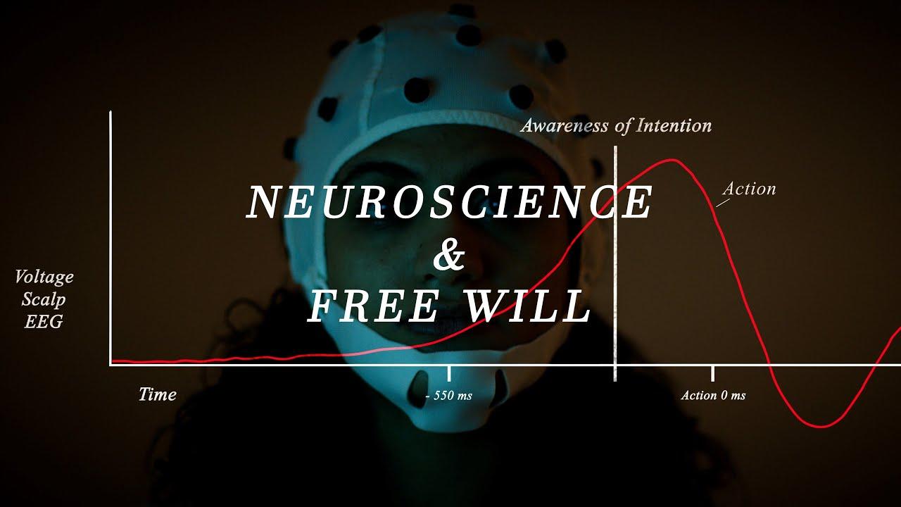 Free Will Trailer