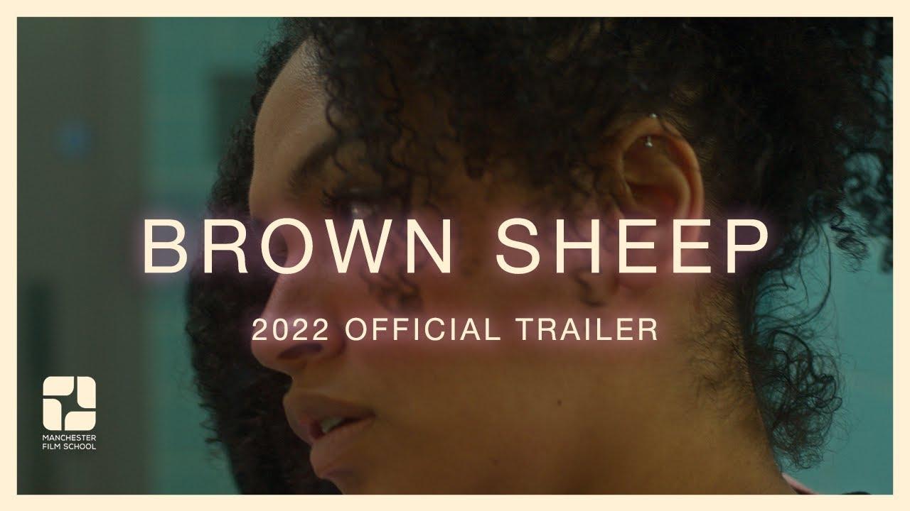 Brown Sheep Trailer