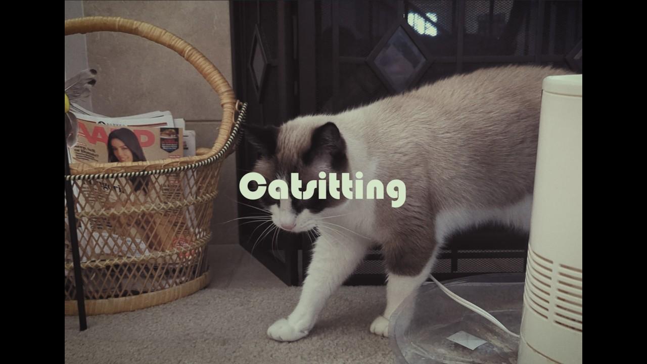 Catsitting Trailer