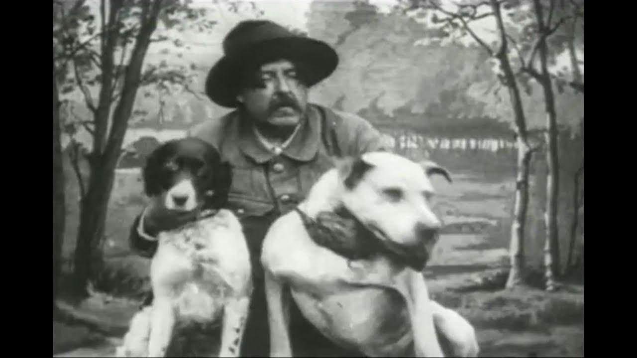 Dogs Used as Smugglers Trailer